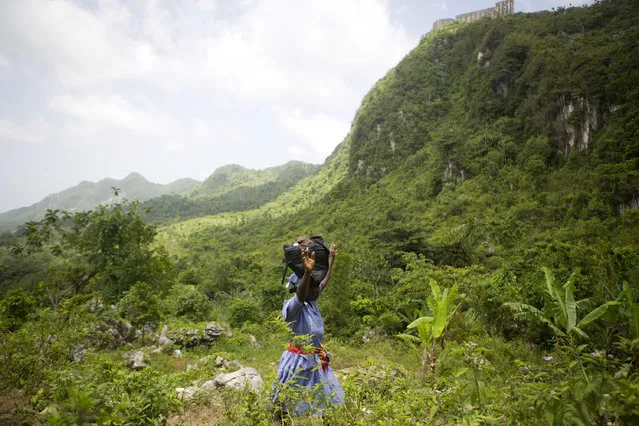 In this July 23, 2016 photo, a Voodoo pilgrim prays while she hikes up the mountain in Plaine-du-Nord, Haiti.  Voodoo evolved in the 17th century among African slaves and incorporates elements of the Roman Catholic faith that was forced upon them by French colonizers. Pilgrims make a three-hour walk to the top of a mountain, near the country’s famed, 19th century Citadel fortress, where St. James is believed to have once appeared. (Photo by Dieu Nalio Chery/AP Photo)