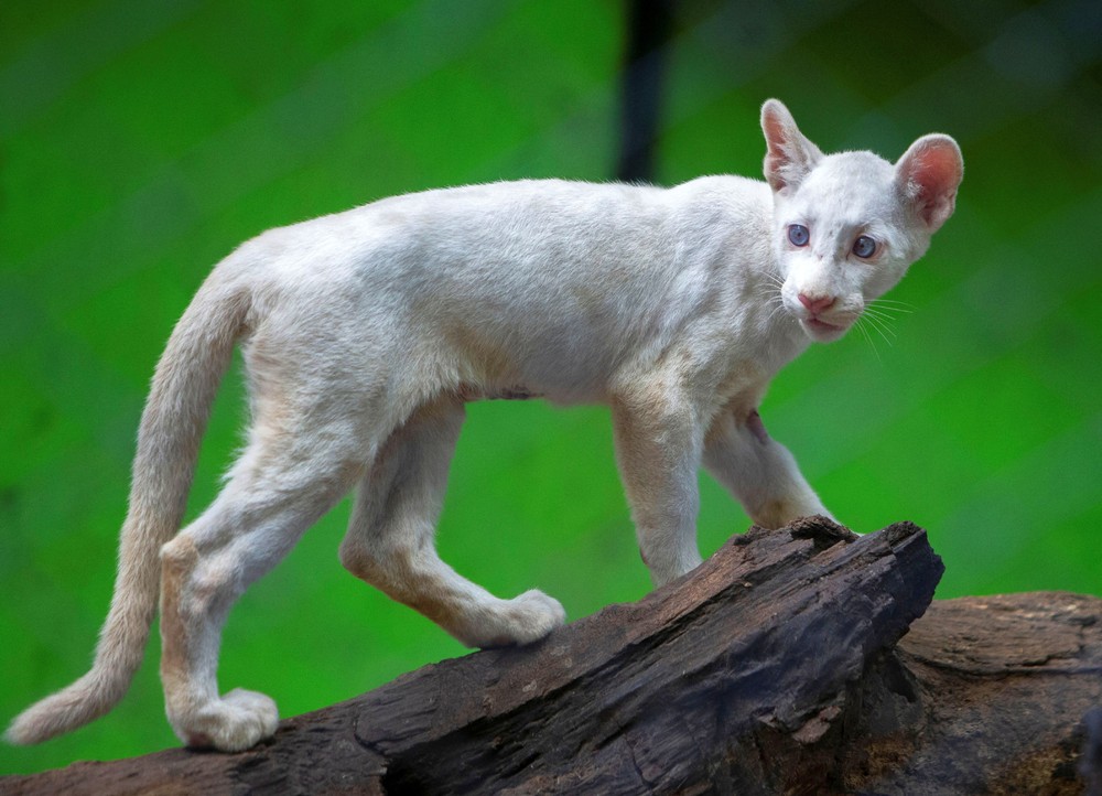 Pictures of the Year 2023, Part 197/224