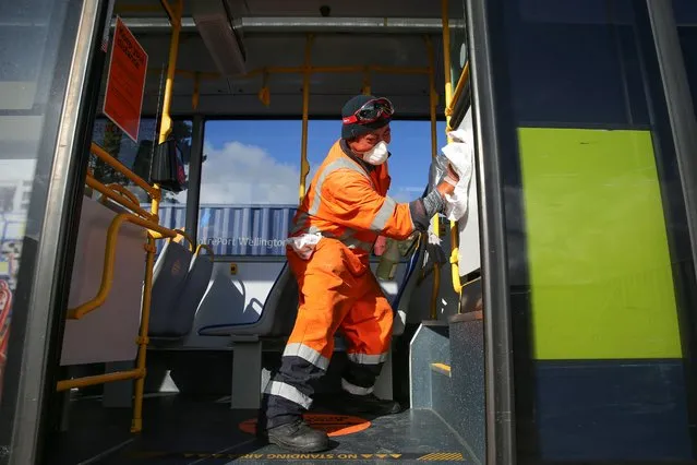 Senior Yard Supervisor Lipi Vitolio disinfects the interior surface of a bus at Tranzit Bus Depot on May 09, 2020 in Wellington, New Zealand. The New Zealand government will decide whether to move to COVID-19 Alert Level 2 and ease further restrictions on Monday 11 May. Under Alert Level 2, businesses will be able to reopen with social distancing measures in place; public places will reopen; and domestic travel can recommence. Schools and early learning centres will be able to open and both indoor and outdoor gatherings up to 100 people will be allowed, while home gatherings should still remain small. Sport and recreation will also be able to restart, including professional sports competitions. New Zealand is current under COVID-19 Alert Level 3 restrictions, after the country was placed under full lockdown restrictions on March 26 in response to the coronavirus (COVID-19) pandemic. (Photo by Hagen Hopkins/Getty Images)