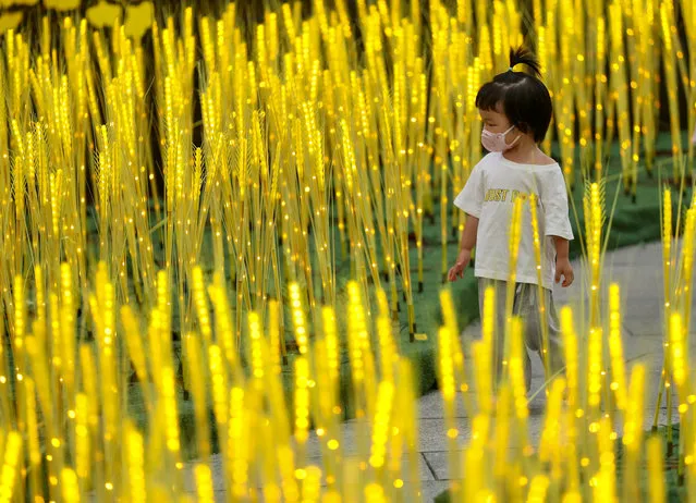 A child looks at illuminated 'wheat' installations at a shopping complex during the Mid-Autumn Festival holiday on September 12, 2022 in Beijing, China. (Photo by Yi Haifei/China News Service via Getty Images)