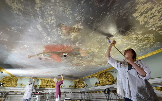 Restorers work on the 42 square meters fresco “Flora mit Genien” (Flora with Genii), which was painted directly onto the ceiling in the vestibule of the Sanssouci Palace by Swedish painter Johann Harper (1688-1746), at the Sanssouci Palace in Potsdam, Germany, 11 August 2016. The Sanssouci palace was built by Prussian painter and architect Georg Wenzeslaus von Knobelsdorff (1699-1753) for the use of the summer residence of Prussian King Frederick the Great (1712-1786) following the King's ideas and sketches. The fresco is being restored until October. (Photo by Bernd Settnik/EPA)