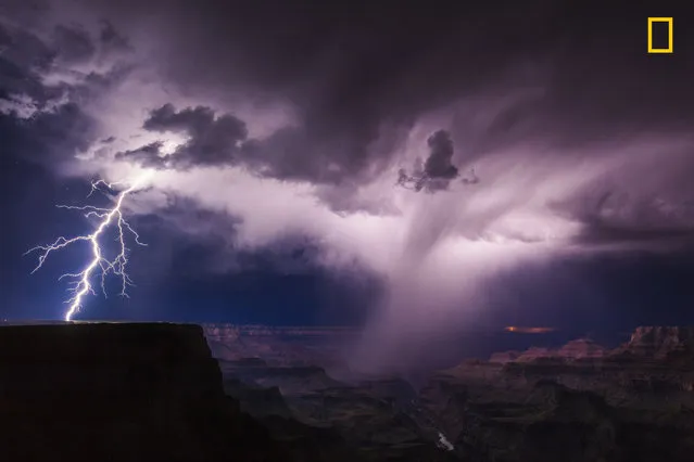 3rd Place in Landscapes: A summer thunderstorm unleashes lightning on the South Rim of the Grand Canyon. (Photo by Mike Olbinski/National Geographic Nature Photographer of the Year contest 2017)