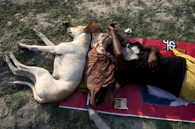 A man sleeps next to a dog on the banks of Yamuna River in New Delhi, India on November 18, 2022. (Photo by Money Sharma/AFP Photo)
