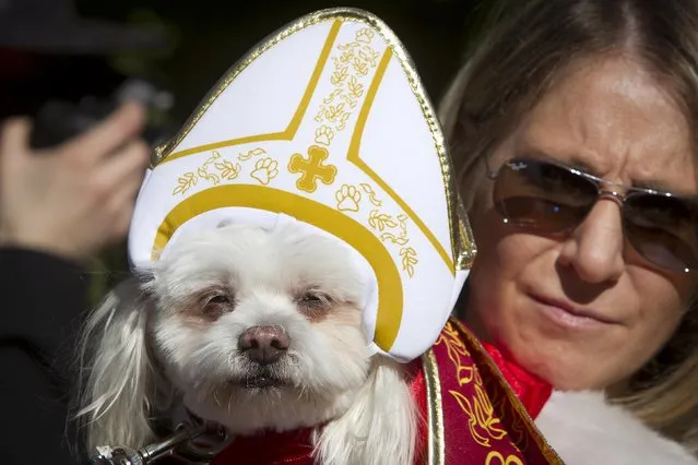 A woman poses with her dog dressed as the pope during the 24th Annual Tompkins Square Halloween Dog Parade in New York October 25, 2014. (Photo by Carlo Allegri/Reuters)