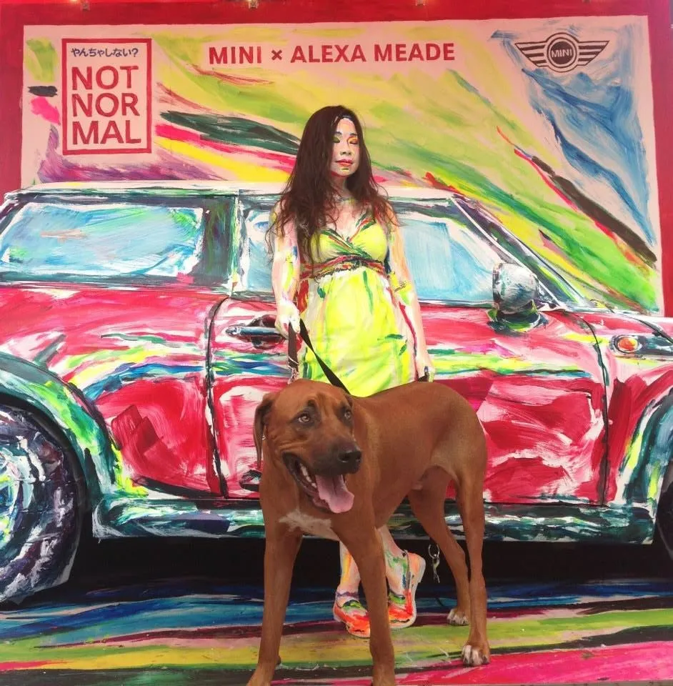 MINI Japan by Alexa Meade