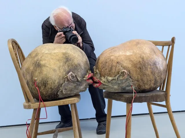 A journalist takes photos behind the installation “L Amour” (1964) by Tetsumi Kudo during the press preview at the exhibition “Tetsumi Kudo – Retrospective” in the Fridericianum in Kassel, Germany, Friday, Sept. 23, 2016. (Photo by Jens Meyer/AP Photo)