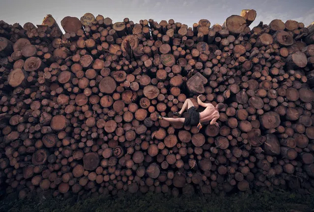 Georg Filser-Mayerhofer of Germany climbs a log pile while doing some bouldering training in Kochel on September 15, 2020 in Kochel Am See, Germany. (Photo by Adam Pretty/Getty Images)