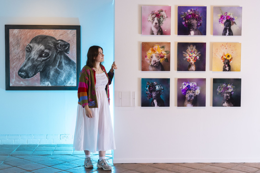 Some Photos: Contemporary Art