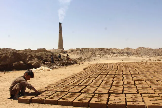 Bismillah, a 6-years-old Afghan boy, works at a brick kiln to support his family, earning around 200 Afghanis (around 2.33 USD) a day, as the world marks the World Day Against Child Labor in Kandahar, Afghanistan, 12 June 2023. Child labor is a pressing issue in Afghanistan, with an estimated 25 percent of children aged five to 14 engaged in economic activities. Most of these children work in the informal sector, including agriculture, street vending, and domestic work. The working conditions are often hazardous, and the children are vulnerable to abuse and exploitation. The International Labour Organization (ILO) has reported that child labor is prevalent in conflict-affected areas and among marginalized communities. The United Nations Children's Fund (UNICEF) has also expressed concern over the impact of child labor on children's health, education, and well-being. (Photo by EPA-EFE/Stringer)