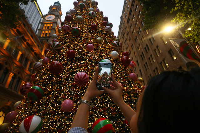 A woman takes a photograph of the Martin Place Christmas Tree on December 17, 2024 in Sydney, Australia. Each year Sydney's landmarks and streets are adorned with festive lights and projections for the Christmas festive period. (Photo by Lisa Maree Williams/Getty Images)