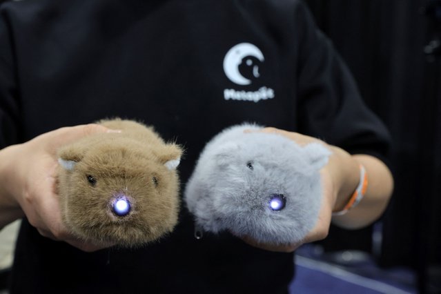 Noono, AI robotic pet mice, are held in the Metapet booth during CES 2025 in Las Vegas, Nevada on January 5, 2025. (Photo by Steve Marcus/Reuters)