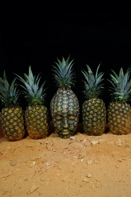 “Pineapple”. (Photo by Johannes Stötter)