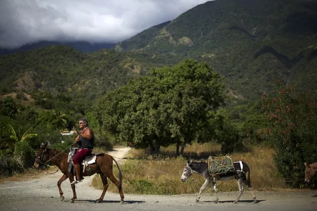 A man guides his animals down a road along Cuba's southern coast and in the foothills of the Sierra Maestra mountains, where President Fidel Castro launched his armed revolution in 1956, as the area prepares for tomorrow's arrival of the caravan carrying Castro's ashes, on the outskirts of Santiago de Cuba, Cuba, December 2, 2016. (Photo by Ivan Alvarado/Reuters)