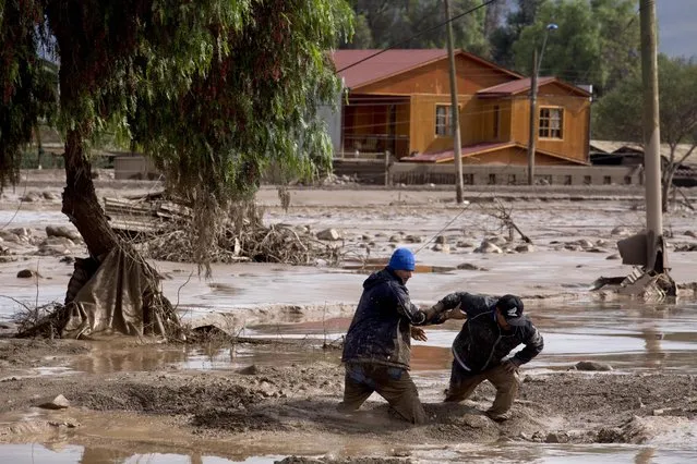 Two men help each other cross a street covered in deep mud in Copiapo, Chile, Thursday, March 26, 2015. (Photo by Pablo Sanhueza/AP Photo)