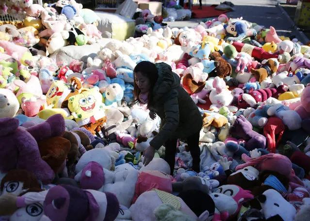 A vendor chooses a doll to arrange a display at a stall ahead of the temple fair celebrating the upcoming Spring Festival in Ditan Park, also known as the Temple of Earth, in Beijing, China, February 5, 2016. (Photo by Kim Kyung-Hoon/Reuters)