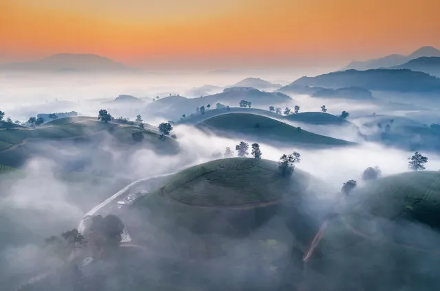 Mist rolling over the Long Coc tea hills in the Phu Tho province of Vietnam on September 25, 2023. (Photo by Nghiem Phu Lam/Solent News)