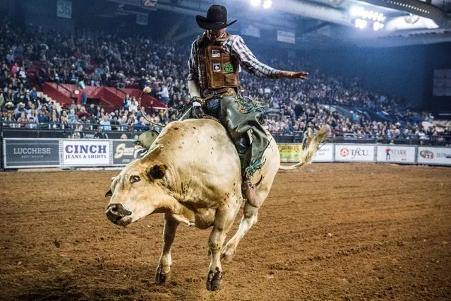 Brady Portenier of Caldwell Indiana competes in the El Paso County Colosseum during the Tuff Hedeman Bull Riding Tour on February 16, 2019. About 25 riders competed for about $30,000 in prize money for this Tuff Hedeman Bull Riding Tour stage named after the four time bull riding world champion who grew up in El Paso, Texas. (Photo by Paul Ratje/AFP Photo)