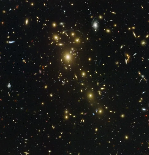 This image made by the NASA/ESA Hubble Space Telescope shows Abell 1703 which is composed of over one hundred different galaxies whose collective mass acts as a gravitational lens. The massive galaxy cluster in the foreground (yellow mostly elliptical galaxies scattered across the image) bends the light rays of galaxies behind it in a way that can stretch their images into multiple arcs. Abell 1703 is located at 3 billion light-years from the Earth. (Photo by NASA/ESA, and Johan Richard (Caltech, USA) via AP Photo)