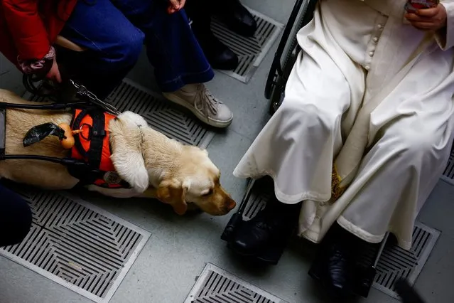 A dog smells Pope Francis' foot as he meets faithful during the weekly general audience, in Paul VI hall at the Vatican on January 3, 2024. (Photo by Yara Nardi/Reuters)