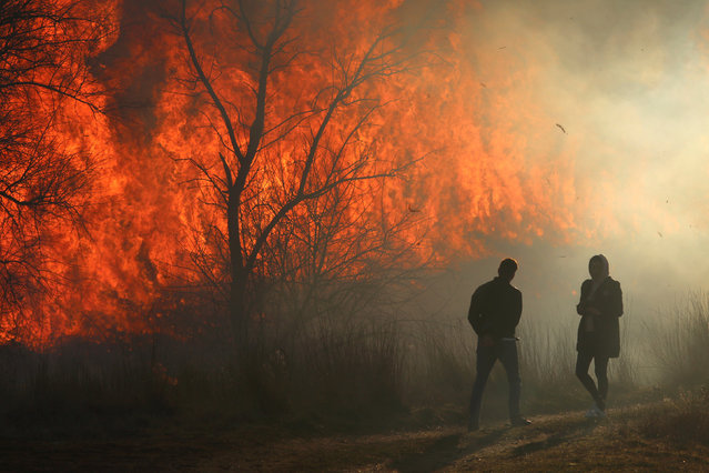 People look at flames of fire as dry grass and bushes burn near the village of Ivanovka, Crimea on March 3, 2019. (Photo by Alexey Pavlishak/Reuters)