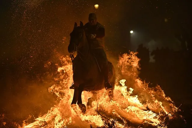 Men ride horses through a bonfire made of pine branches after the horses have been blessed by a priest to protect and purify them for the coming year, during the annual “Las Luminarias” festival in the town of San Bartolome de Pinares in Avila, Spain on January 16, 2024. This tradition continues to purify and protect the animals. (Photo by Burak Akbulut/Anadolu via Getty Images)