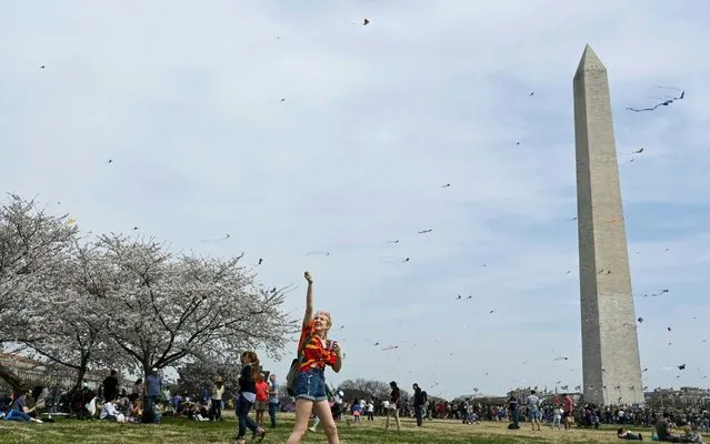 A womam flies her kite on the National Mall in Washington, DC on March 30, 2019 during the Cherry Blossom Kite Festival. The event is part of the National Cherry Blossom Festival which runs from March 20 to April 14, 2019 with peak blooms of cherry blossoms expected April 1st. (Photo by Eva Hambach/AFP Photo)