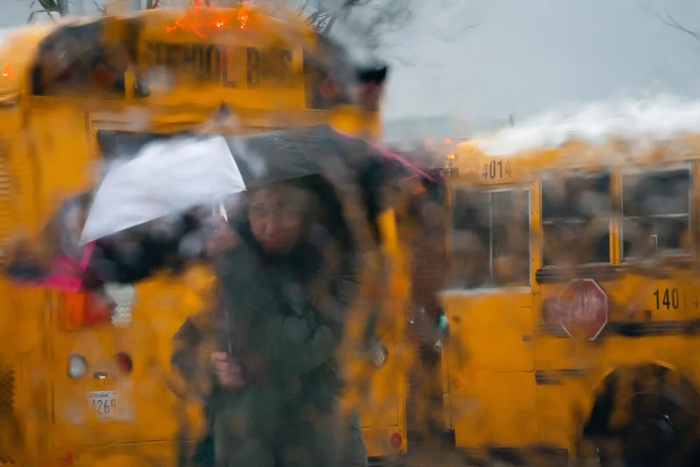 Some Photos: Under an Umbrella