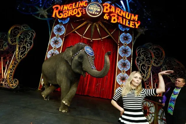 Actress AnnaSophia Robb attends Ringling Bros. and Barnum & Bailey presents “Legends” at Barclays Center of Brooklyn on February 20, 2014 in New York City. (Photo by Brian Ach/Getty Images for Ringling Bros. And Barnum & Bailey)
