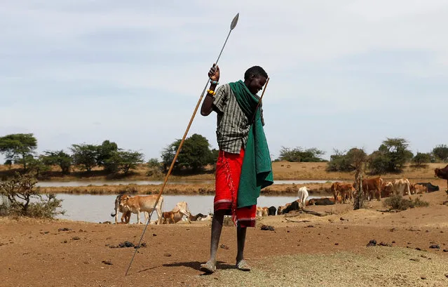 A Samburu tribesman holds a spear inside Mugui conservancy, Kenya February 11, 2017. (Photo by Goran Tomasevic/Reuters)