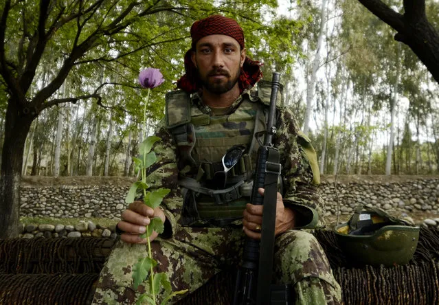 An Afghan National Army soldier poses with a poppy near the village of Karizonah, Khost province. In Afghanistan, the poppy crop is a major source of funding for extremist groups involved in the Taliban-led insurgency. (Photo by Staff Sgt. Joshua L. DeMotts/U.S. Marine Corps)