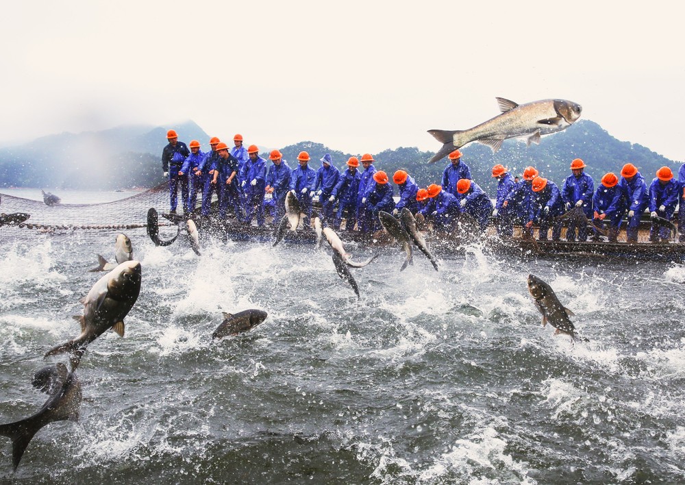 A Look at Life in China