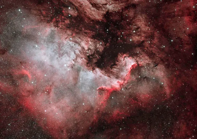North America Nebula by Dave Watson. The North America Nebula, NGC7000, is an emission nebula in the constellation Cygnus. The remarkable shape of the nebula resembles that of the continent of North America, complete with a prominent Gulf of Mexico. (Photo by Dave Watson/2019 Science Photographer of the Year/RPS)