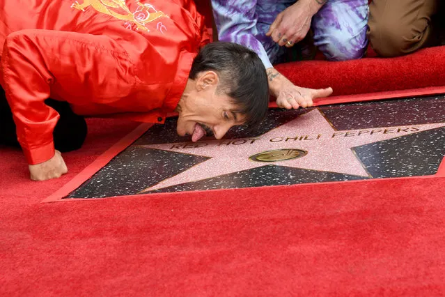 Anthony Kiedis of The Red Hot Chili Peppers attends the Hollywood Walk of Fame Star Ceremony for The Red Hot Chili Peppers on March 31, 2022 in Hollywood, California. (Photo by Jon Kopaloff/Getty Images)
