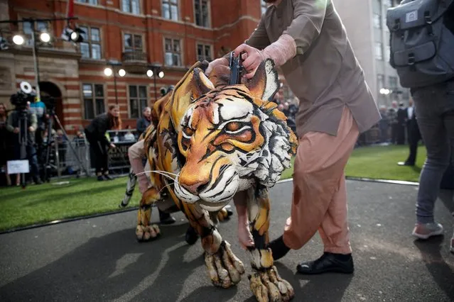 A tiger from “Life of Pi” arrives at the Olivier Awards in the Royal Albert Hall in London, Britain, April 10, 2022. (Photo by May James/Reuters)