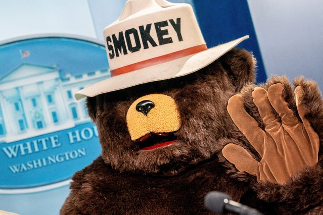 Smokey the Bear visits the White House press briefing room to mark the 80th birthday of the wildfire-prevention mascot in Washington on August 6, 2024. (Photo by Nathan Howard/Reuters)