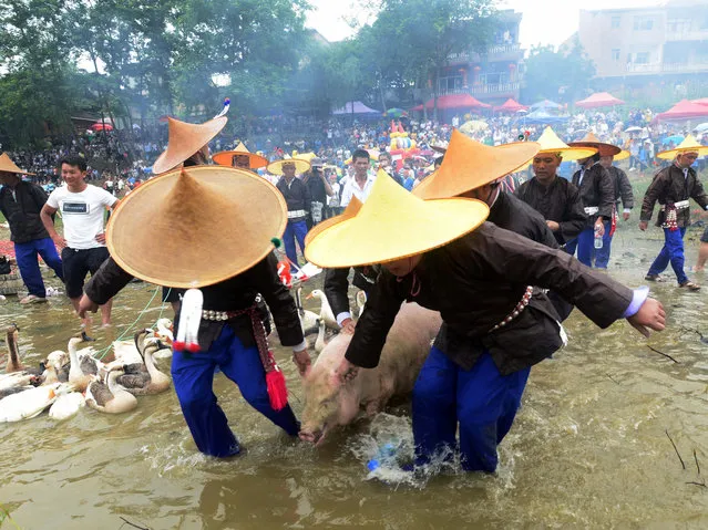 Villagers drag a pig onto a dragon boat during the Dragon Canoe Festival, which is one of the most important festivals celebrated by the Miao ethnic minority, in Taijiang county, Guizhou province, China June 19, 2017. (Photo by Reuters/Stringer)