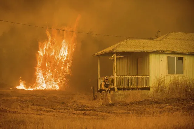 Flames rise behind a vacant house as a firefighter works to halt the Detwiler wildfire near Mariposa, Calif., on Wednesday, July 19, 2017. As wildfires rage throughout the western U.S., one California blaze in the rugged mountains outside of Yosemite National Park forced thousands of nearby residents to flee their homes. (Photo by Noah Berger/AP Photo)