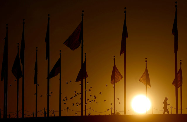 A woman walks during sunrise at the National Mall in Washington, US, on October 21, 2024. (Photo by Hannah McKay/Reuters)