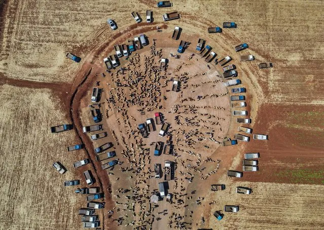 This picture taken on July 1, 2022 shows an aerial view of an impromptu livestock market near the town of Maaret Misrin in the rebel-held northern part of Syria's northwestern Idlib province, as Muslims prepare for the Eid al-Adha festival and holiday amidst soaring global prices. Known as the “big” festival, Eid Al-Adha is celebrated each year by Muslims sacrificing various animals according to religious traditions, including cows, camels, goats and sheep. (Photo by Abdulaziz Ketaz/AFP Photo)