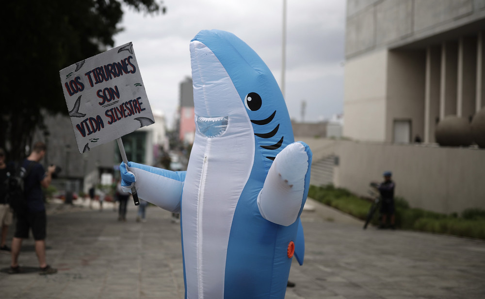 Pictures of the Year 2023, Part 166/224