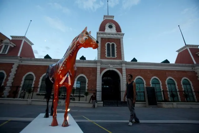 A man looks at a sculpture of a fiberglass horse in downtown Ciudad Juarez, Mexico, August 25, 2015. Twenty fiberglass horses, designed and painted by local artists, were displayed to the public on Tuesday by the local government in order to attract tourism and to show an improvement of the urban image, local media reported. (Photo by Jose Luis Gonzalez/Reuters)