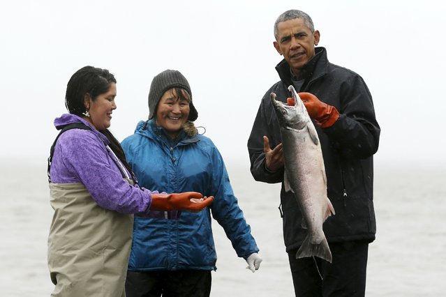 U.S. President Barack Obama (R) holds a salmon as he meets traditional fishermen on the shore of the Nushagak River in Dillingham, Alaska September 2, 2015. After meeting tribal leaders and fishermen in Dillingham, home to the world's largest sockeye salmon fishery, Obama will fly into Kotzebue, an Arctic town of about 3,000 that is battling coastal erosion caused by rising seas. (Photo by Jonathan Ernst/Reuters)