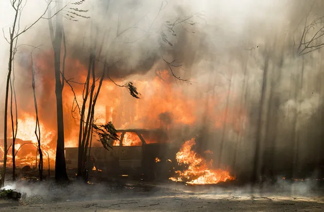 A truck burns in the town of Lower Lake, Calif., on Sunday, August 14, 2016. A wildfire destroyed at least four homes and forced thousands of people in two Northern California towns to flee on Sunday as flames jumped a road and moved into populated areas. The fire was creating its own weather pattern and shifted northward into Lower Lake in the afternoon, said Suzie Blankenship, a spokeswoman for the California Department of Forestry and Fire Protection. (Photo by Josh Edelson/AP Photo)