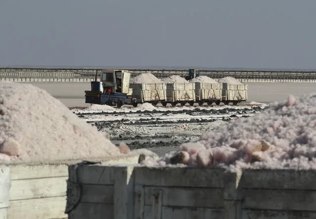 A train carries sea salt at a salt production facility at the Sasyk-Sivash lake near the city of Yevpatoria in Crimea, October 5, 2014. (Photo by Pavel Rebrov/Reuters)
