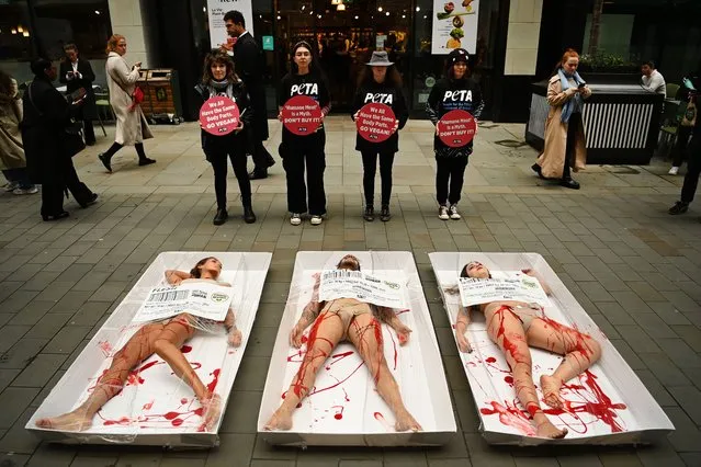 Peta protesters demonstrate in animal meat food packaging outside Whole Foods store during a Peta protest on World Vegan Day in central London, Britain, 01 November 2022.  Peta protesters called for  people to buy more plant-based foods and demonstrated to remind consumers that all animals including humans are made of flesh and bone. (Photo by Andy Rain/EPA/EFE/Rex Features/Shutterstock)