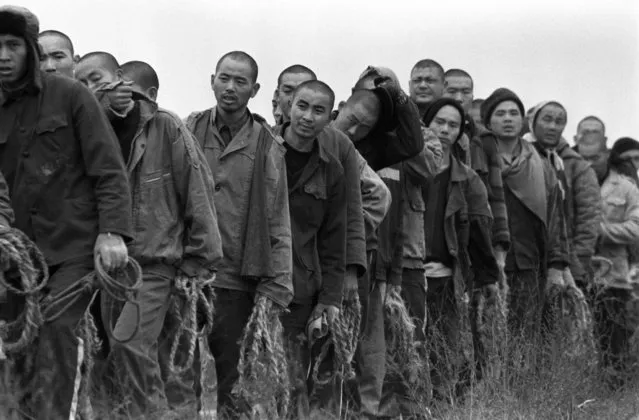 Chinese prisoners return to their compounds at Jiangbei Prison in the central province of Hubei after working in the fields and collecting cotton branches for firewood in 1998. (Photo by Reuters/Stringer)