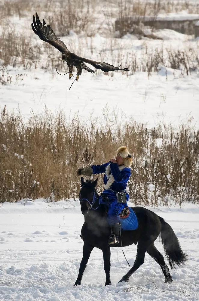 Kazakhstan's Top Eagle Hunter