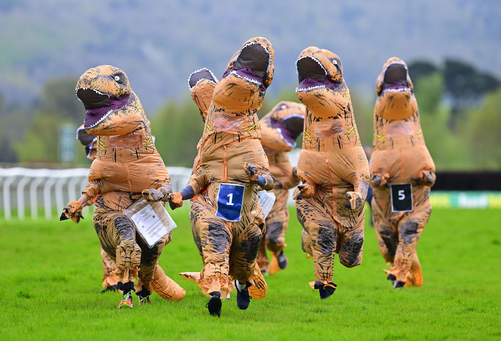 Pictures of the Year 2024, Part 083/240