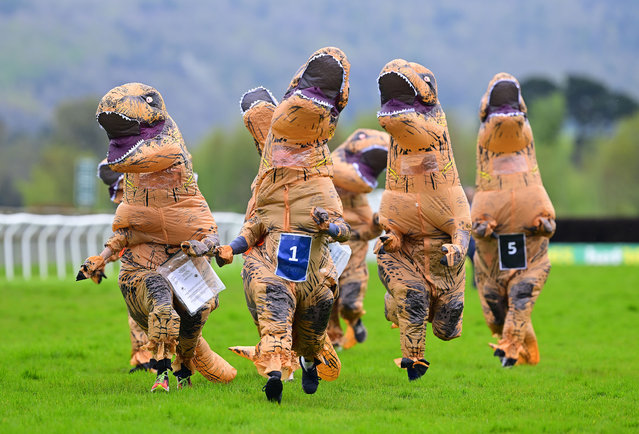 Race winner Doyouthinkhesawus sprints to finish line Taunton Round Table Dinosaur Race, Family Raceday at Taunton Racecourse, Taunton, Somerset, England on April 11, 2024. (Photo by Mat Mingo/Pinnacle Photo Agency)