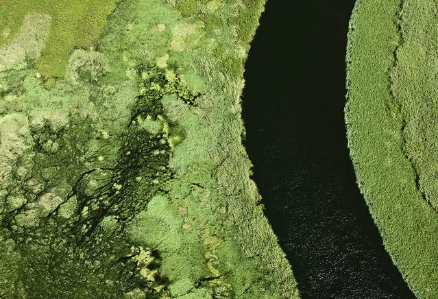 Botswana By Zack Seckler